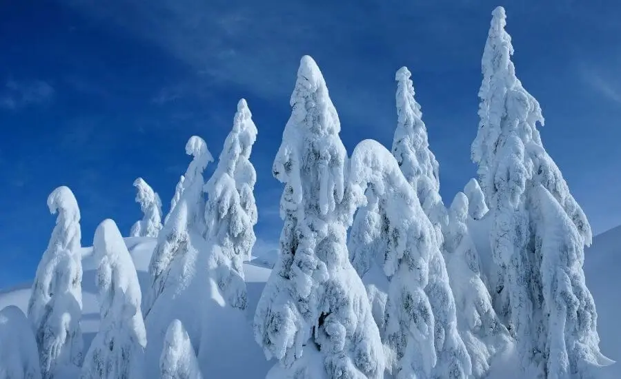 Magical Winter Scenes From British Columbia