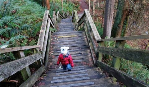 10 Kid-Friendly Parks In North Vancouver