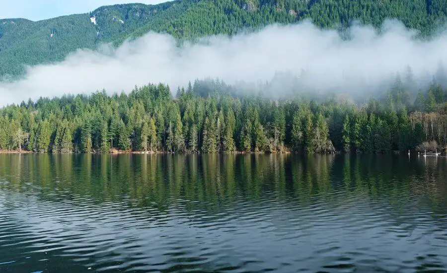 32 Best Easy Hikes In Vancouver