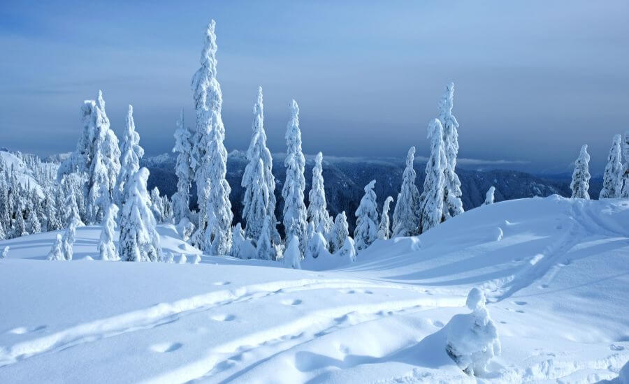 30 Best Winter Hikes In Vancouver British Columbia