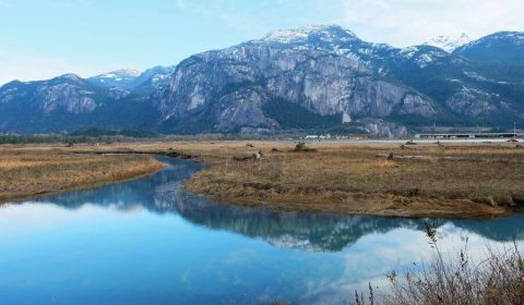 Best Hotels In Squamish, BC: From Luxurious To Budget-Friendly