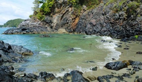 Best things to do in Tofino BC