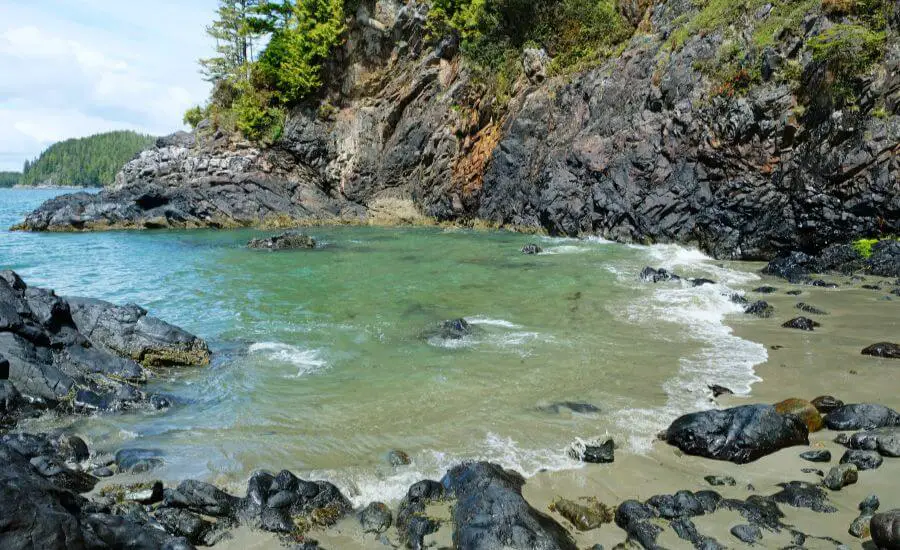 Best things to do in Tofino BC