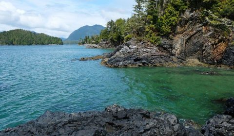 Best Vancouver Island campgrounds