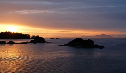 Vancouver To Tofino Road Trip: 12 Best Stops