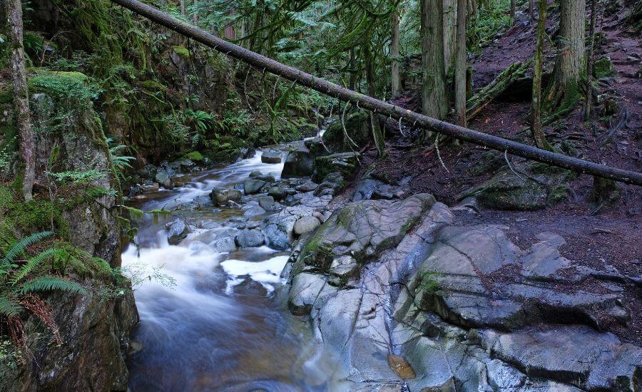 Cypress Falls Hike, An Easy Waterfall Trail In West Vancouver