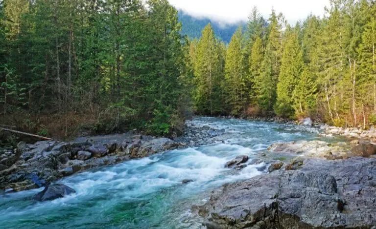 Your Golden Ears Provincial Park Hiking & Camping Guide - In Love With BC