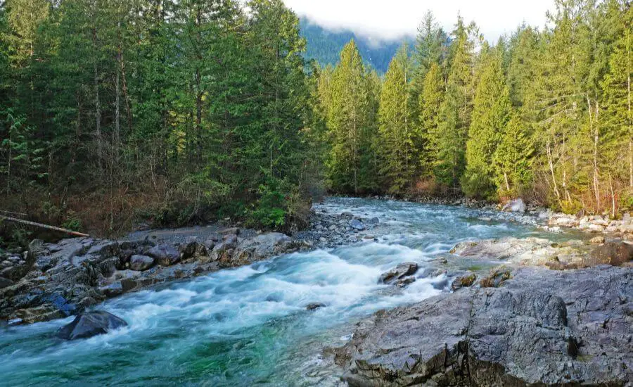 Your Golden Ears Provincial Park Hiking & Camping Guide
