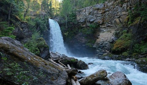 A Tranquil, Family-Friendly Park In Southern BC: Blanket Creek