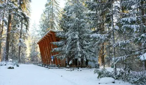 Christmas In British Columbia: 12 Delightful Places To Spend The Holidays