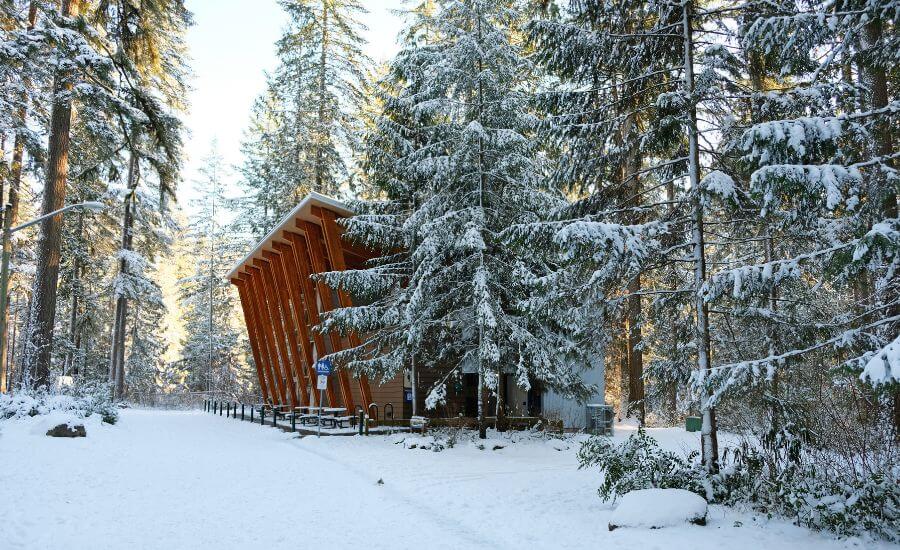 Christmas In British Columbia: 12 Delightful Places To Spend The Holidays