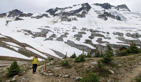 One Day In Glacier National Park, Canada: Best Stops & 2 Itinerary Options