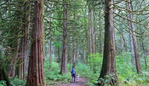What To Wear On BC Coastal Hikes