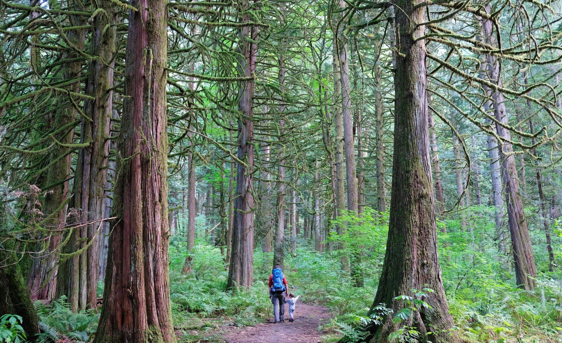 What To Wear On BC Coastal Hikes